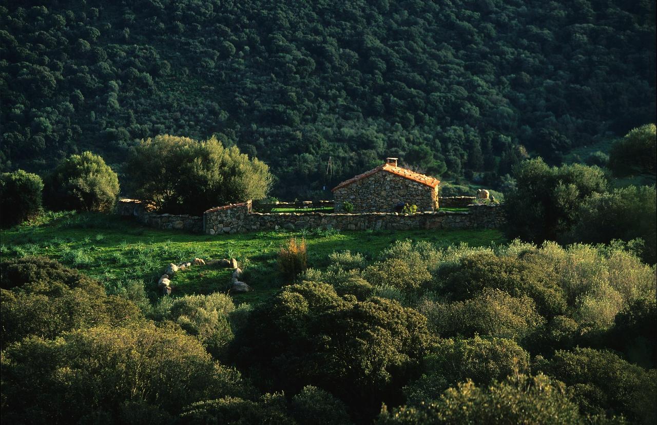 Domaine De Murtoli Hotell Sartène Exteriör bild
